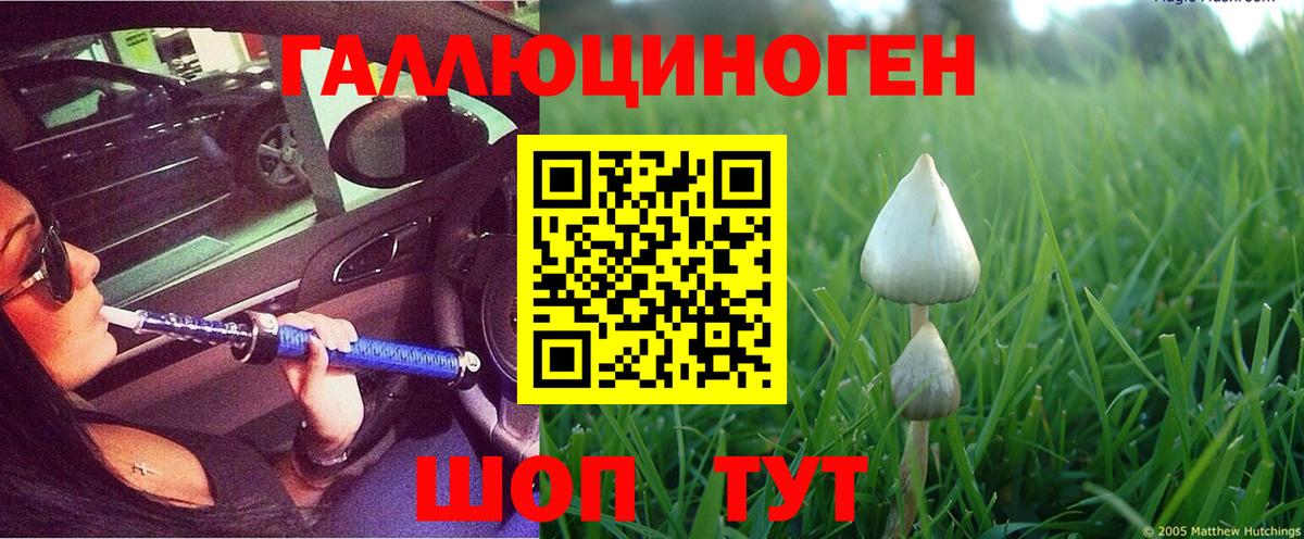 Псилоцибиновые грибы прущие грибы Киржач