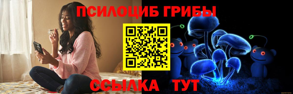 продажа наркотиков  Псилоцибиновые грибы мицелий  Вход с VPN  Киржач  Псилоцибиновые грибы ЛСД 